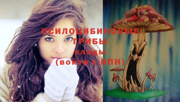 марки nbome Пестово