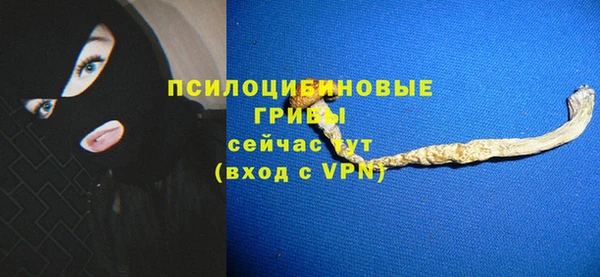 альфа пвп Гатчина
