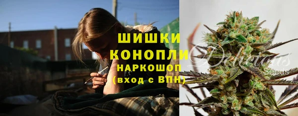 герыч Пересвет