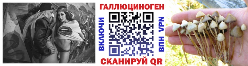 Псилоцибиновые грибы ЛСД  закладки  Кологрив 