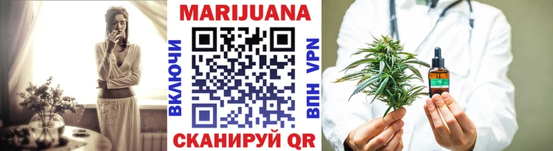 Конопля сатива  Кологрив 